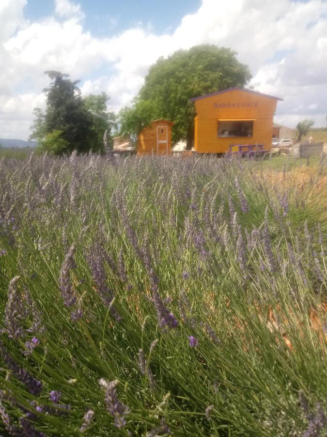 Chambre A La Ferme Au Milieu Des Lavandes Valensole Luaran gambar