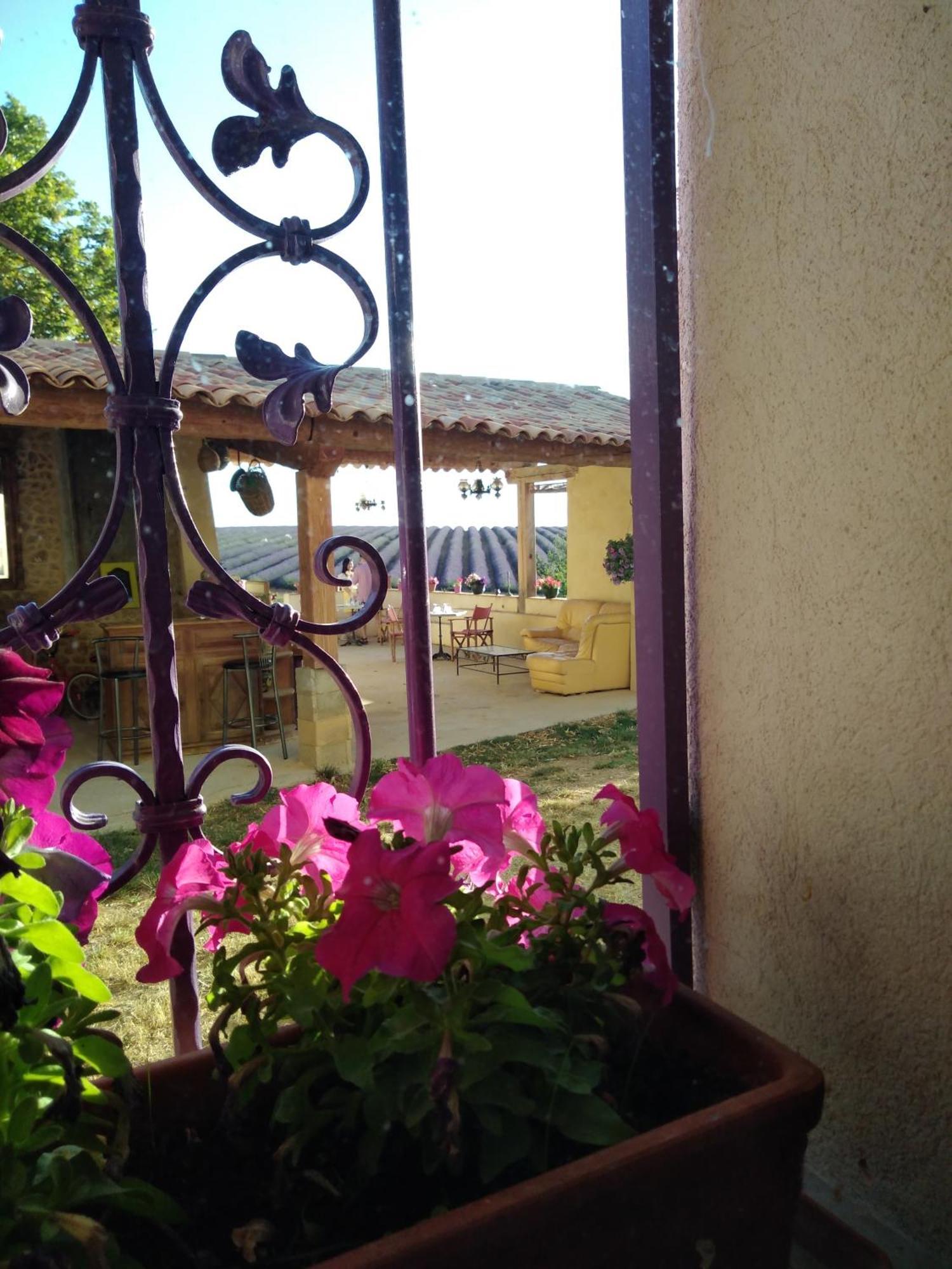Chambre A La Ferme Au Milieu Des Lavandes Valensole Luaran gambar